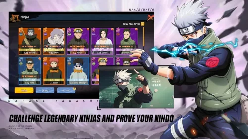 Shinobi Heir