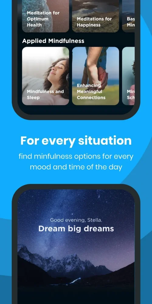 The Mindfulness App