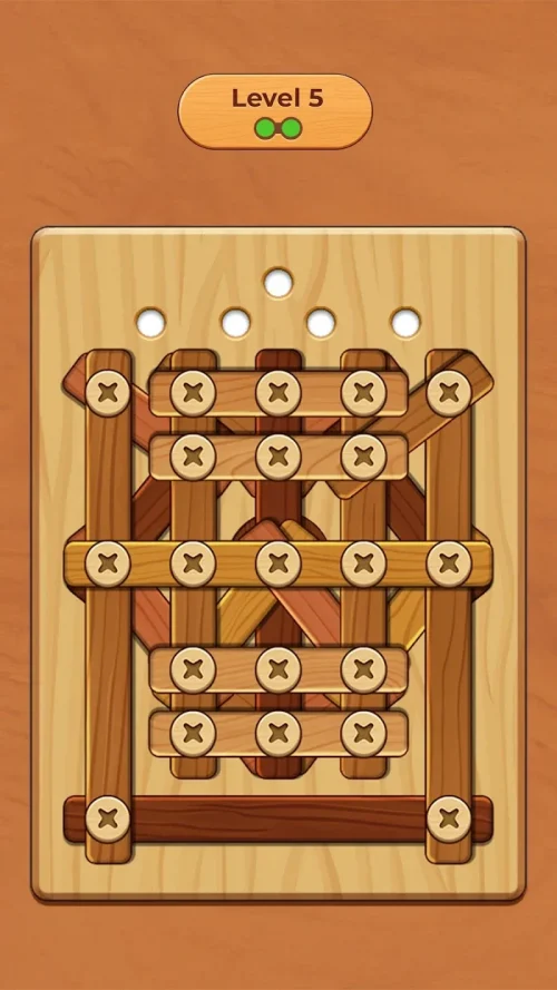 Wood Screw Puzzle