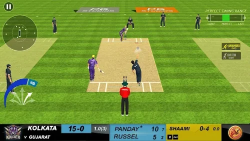 Indian Cricket Legends 2025