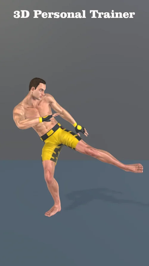 Muay Thai Fitness & Workout