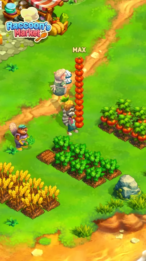 Raccoon Market: Forest Feast