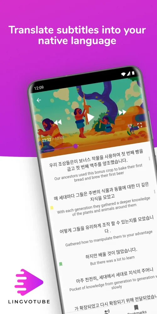 Translate subtitles for videos