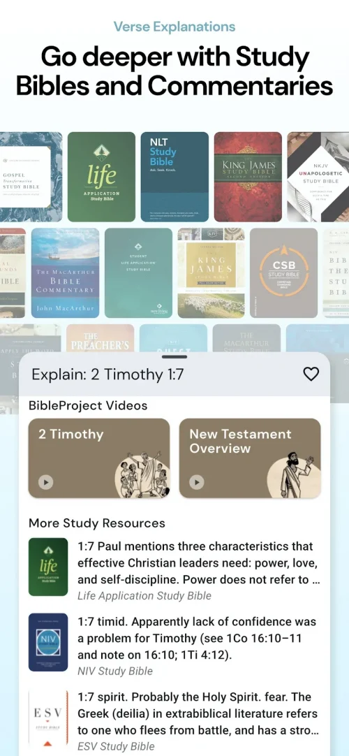 Life Bible