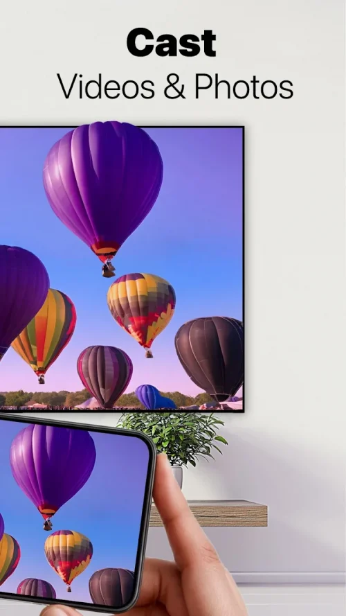 Screen Mirroring – 1001 TVs