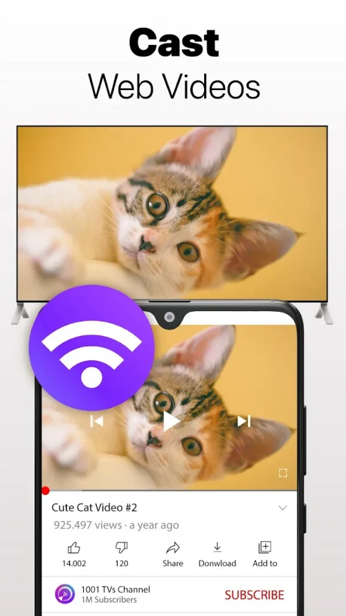 Screen Mirroring – 1001 TVs