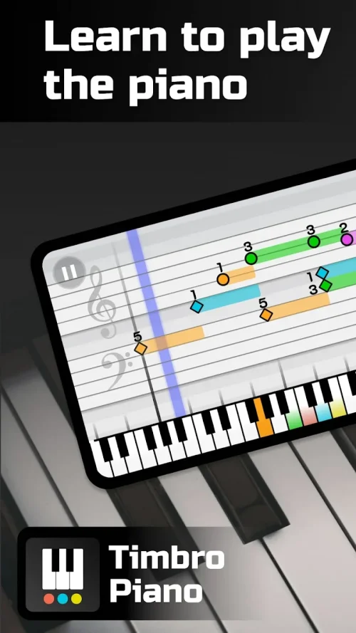 Timbro Piano – Learn Piano