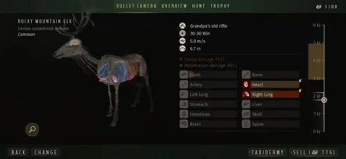 Way of the Hunter Wild America