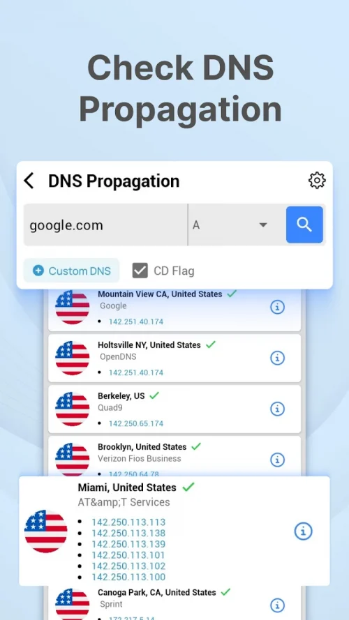 DNS Checker – Network Tools