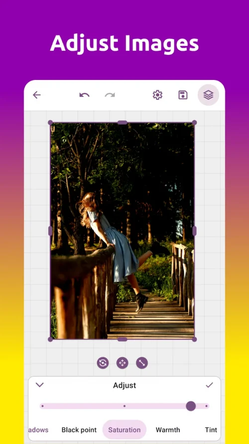 Grafika Vector Image Editor