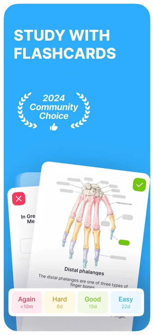Noji: Study with Flashcards