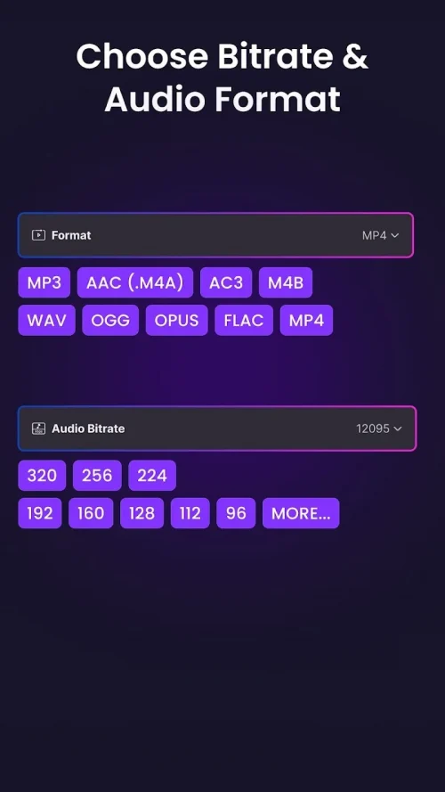 Video to Audio MP3 Converter