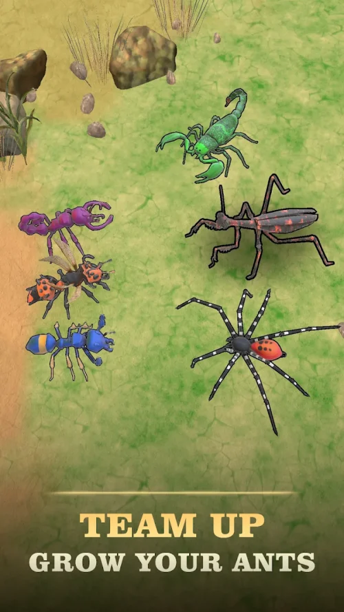 Ant Kingdom