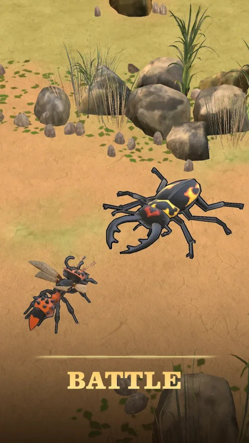 Ant Kingdom