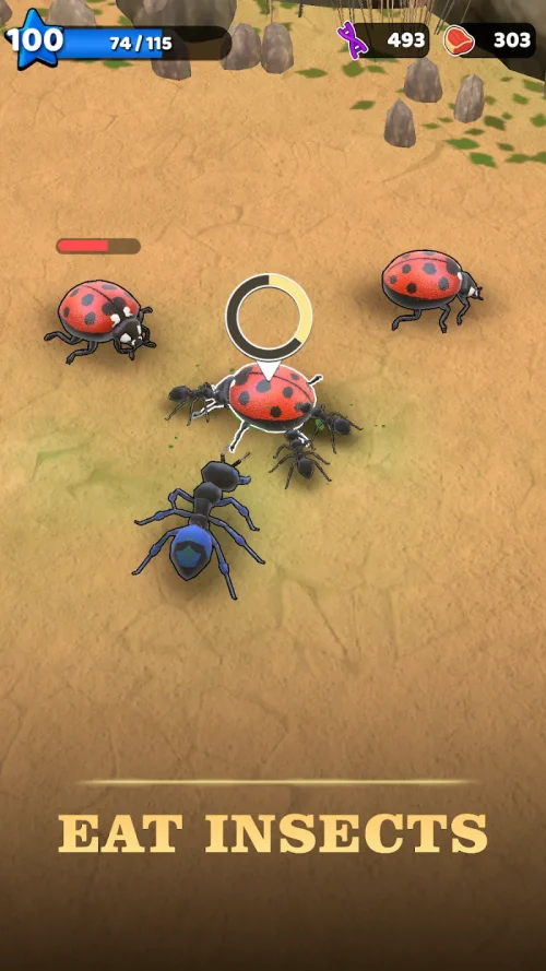 Ant Kingdom