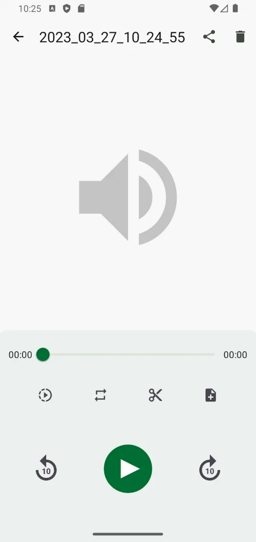 ASR Voice Recorder