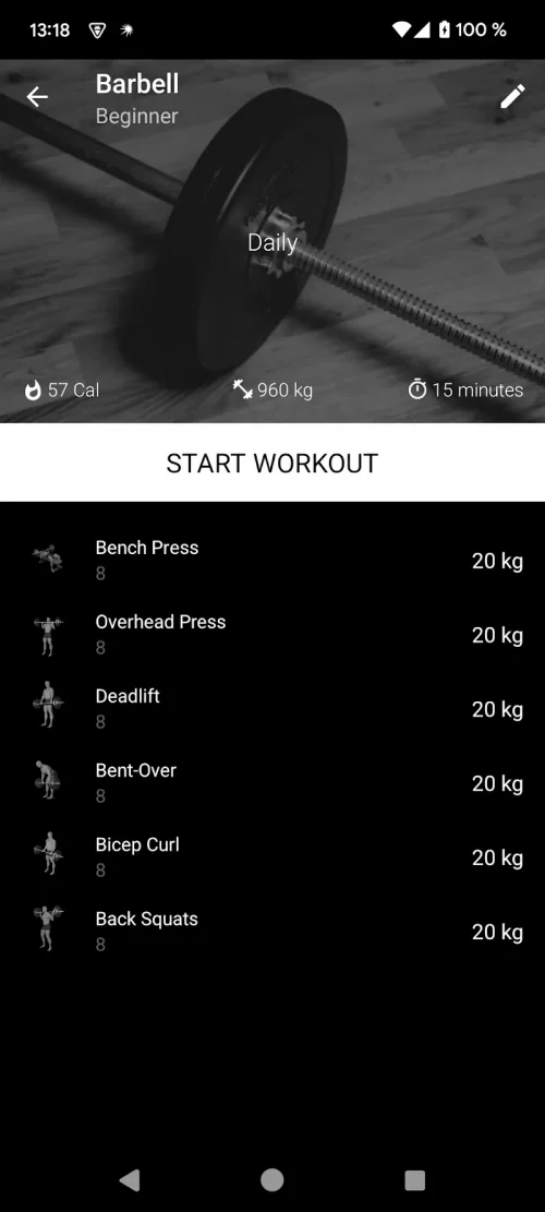 Barbell Workout at Home & Gym