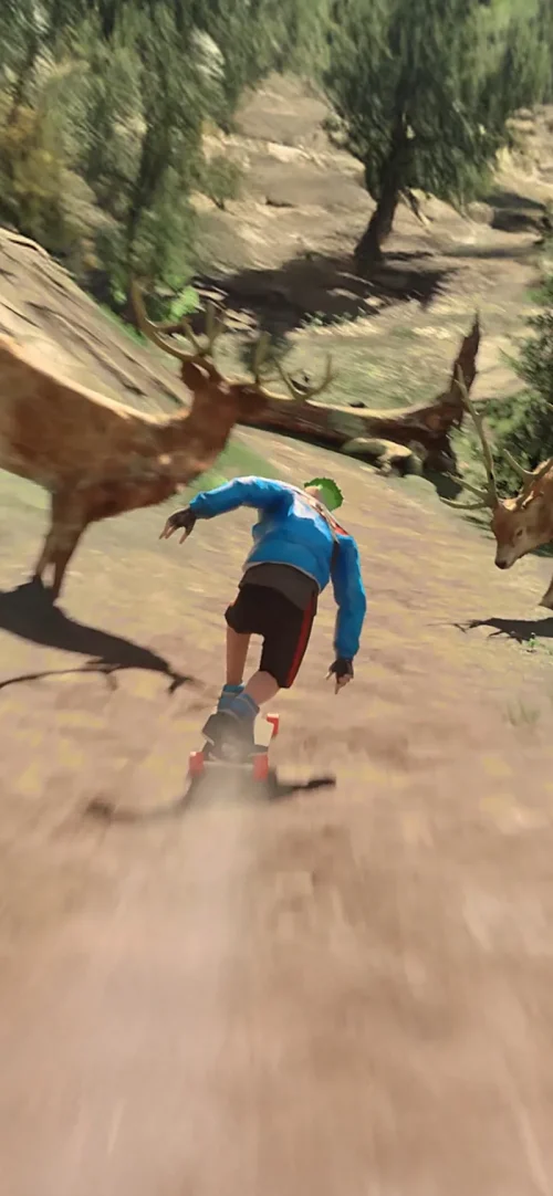 Downhill Racer