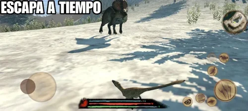 Pangea Primal Age
