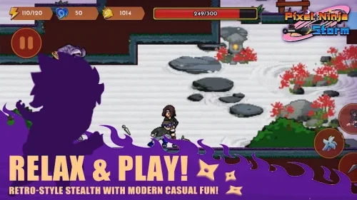Pixel Ninja: Storm