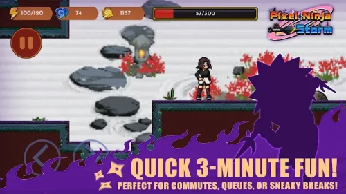Pixel Ninja: Storm