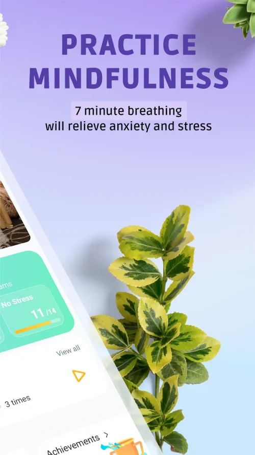 Pranaria – Breathing exercise