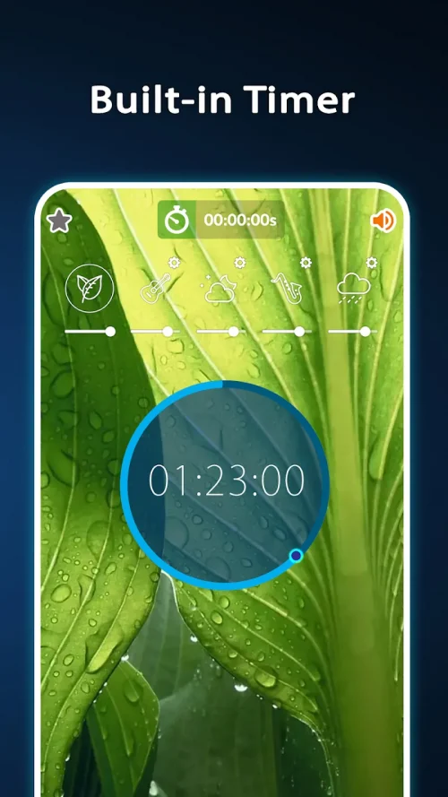 Rain Sounds: Relax and Sleep