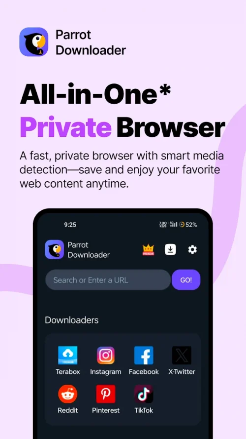 Teradownloader.com & Player
