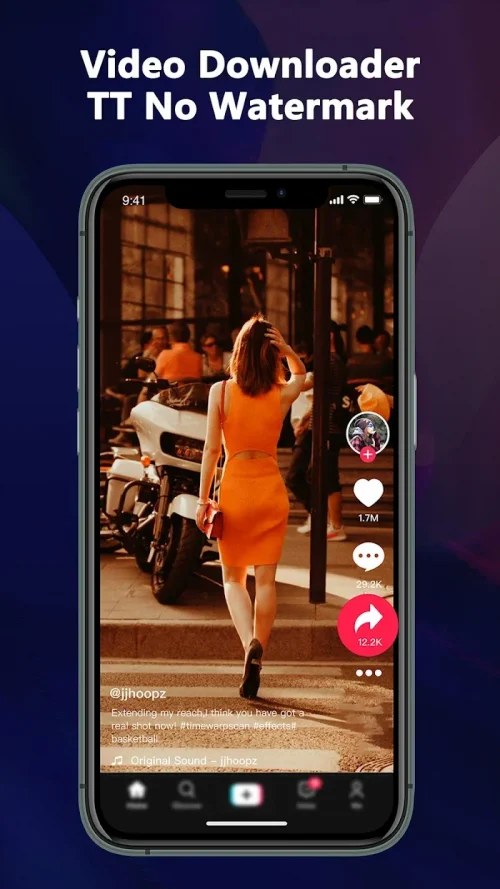 TT Video Downloader