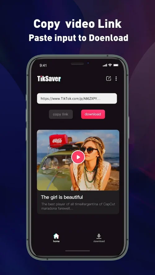 TT Video Downloader