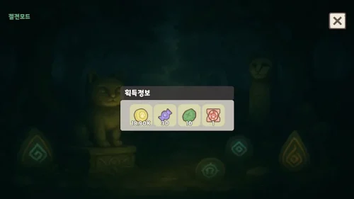 고양이와 숲