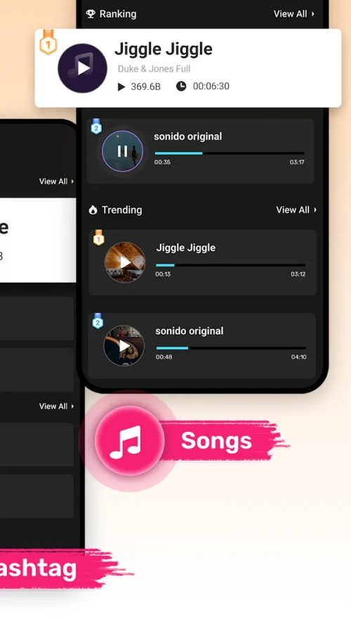 Video downloader for HD Video