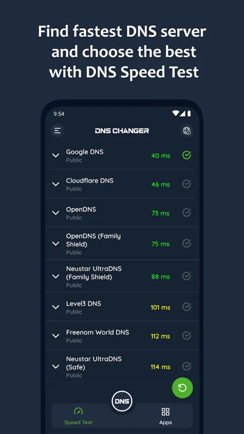 DNS Changer – IPv4 & IPv6