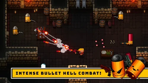 Enter the Gungeon