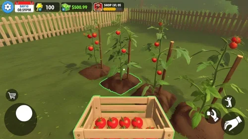 Farm Supermarket Simulator