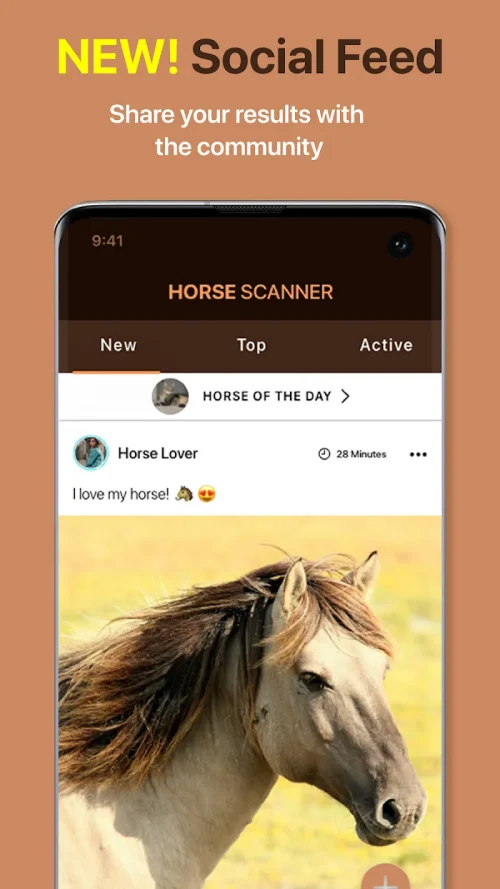 Horse Scanner