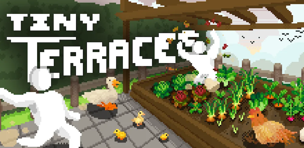 Tiny Terraces