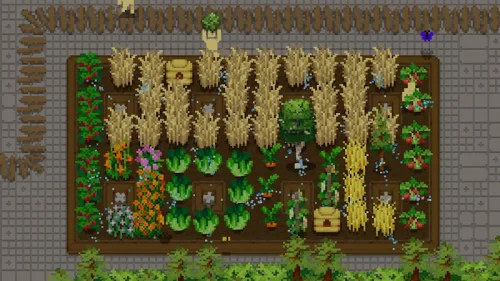 Tiny Terraces