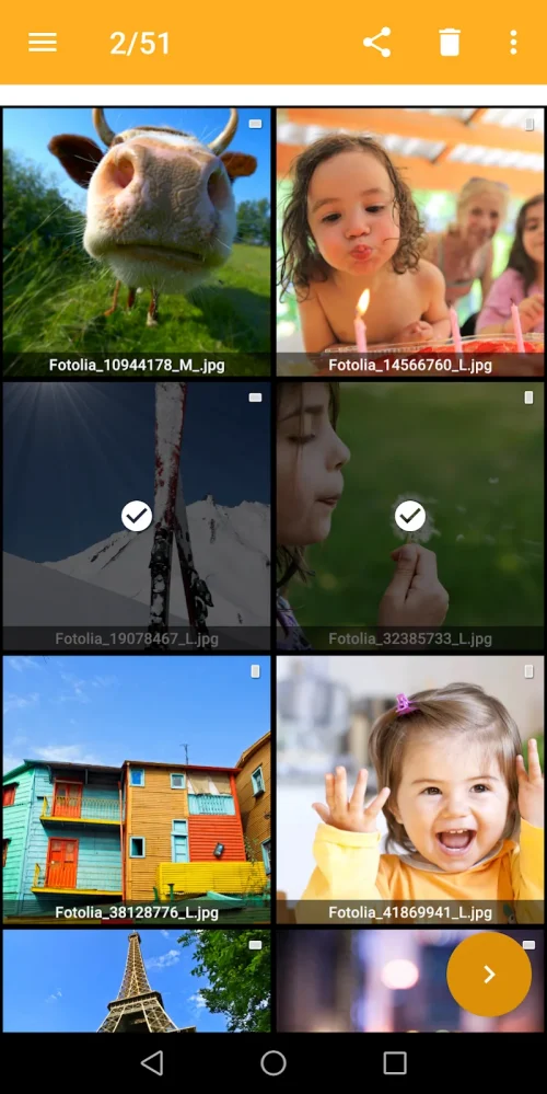 XnConvert – Photo Resize