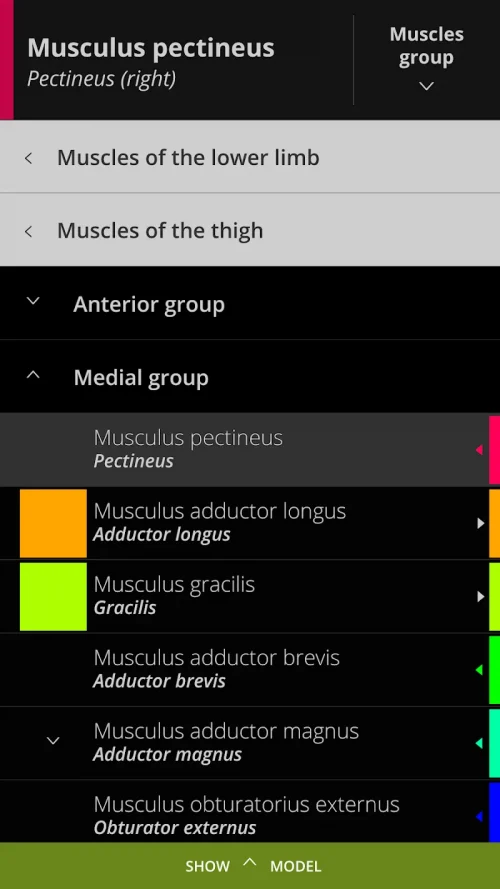 Anatomyka – 3D Anatomy Atlas