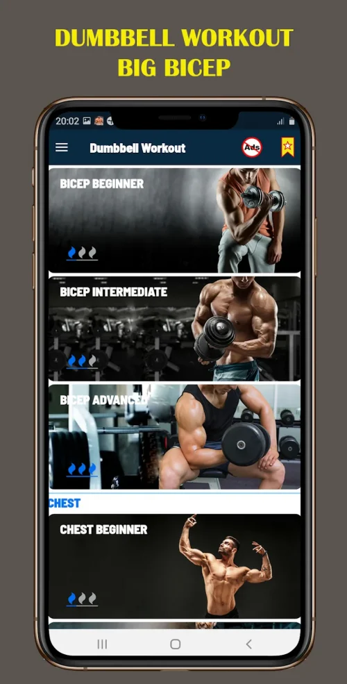 Dumbbell Home – Gym Workout