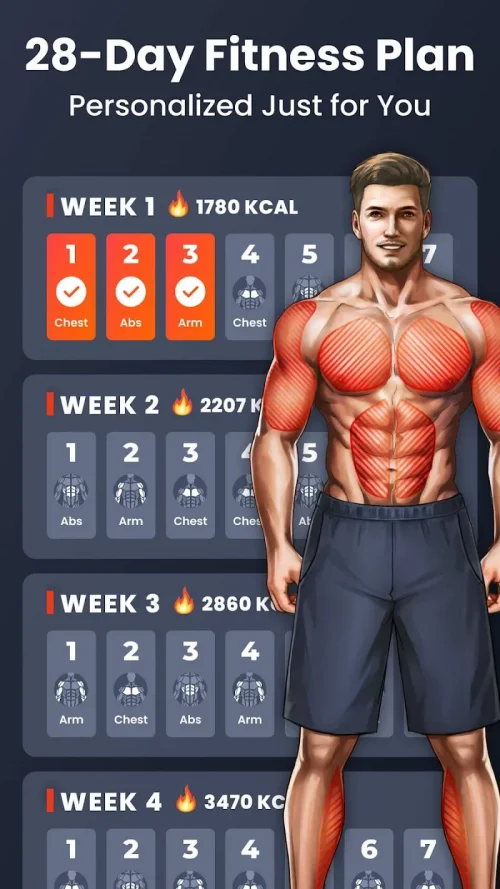 Home Workout – No Equipment