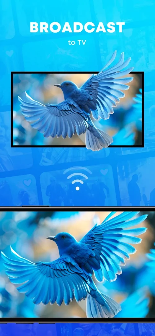 SPL – Smarter Player Lite