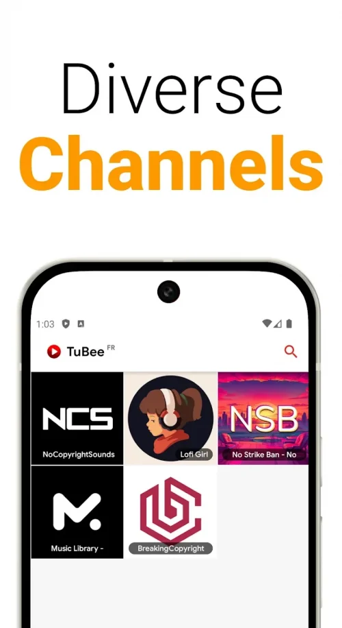 TuBee: Video player for Tube