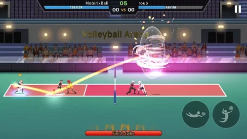 VolleyBall King