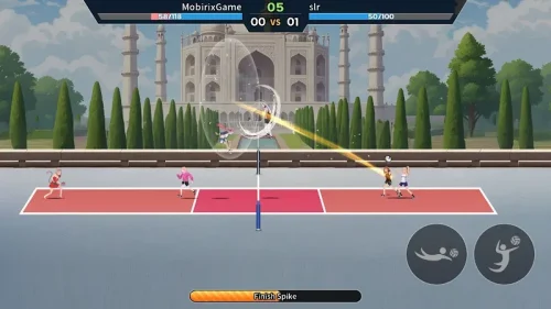 VolleyBall King