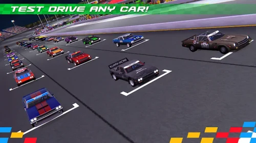Circuit Racing
