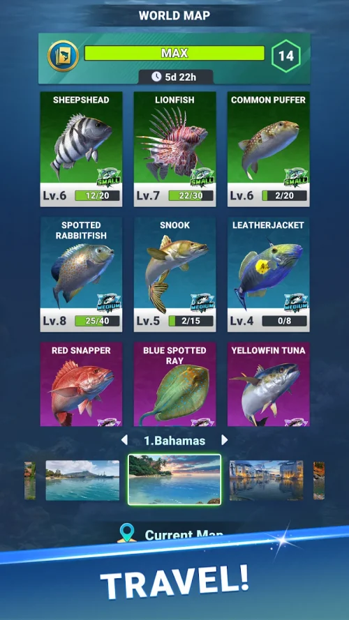 Fishing Travel