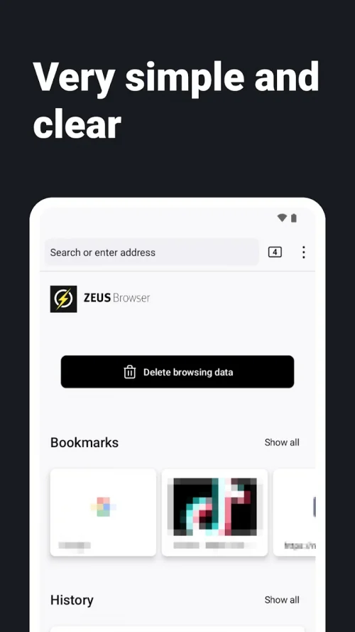 Internet Web Browser – ZEUS