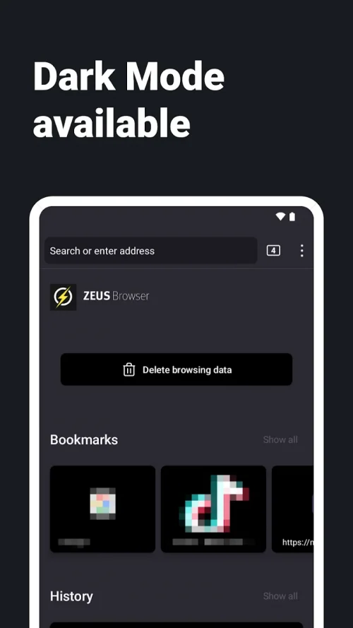 Internet Web Browser – ZEUS